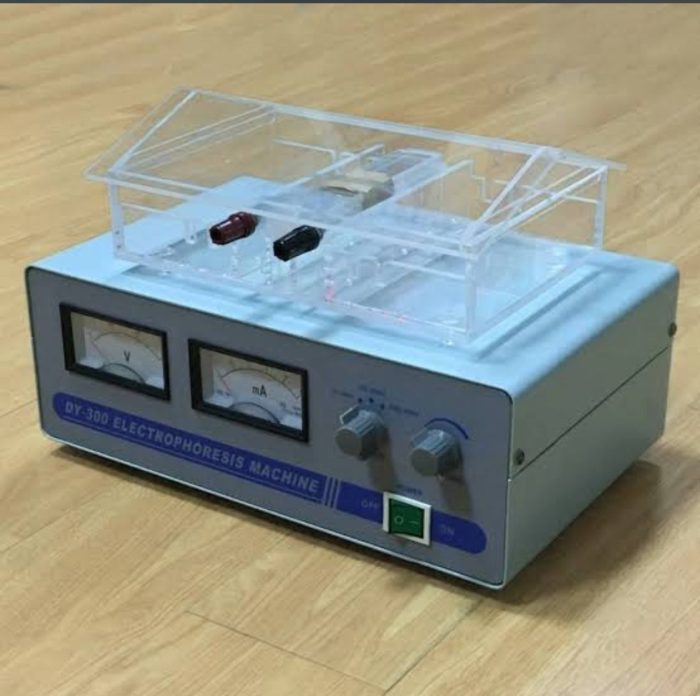Electrophoresis machine